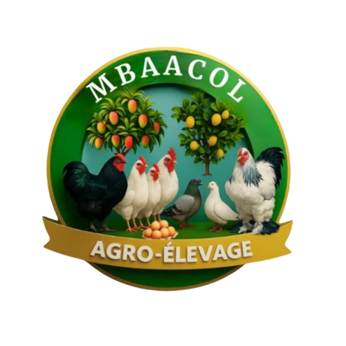 mbaacol-agro-elevage.com
